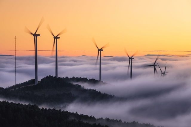 Imagen parque molinos de viento
