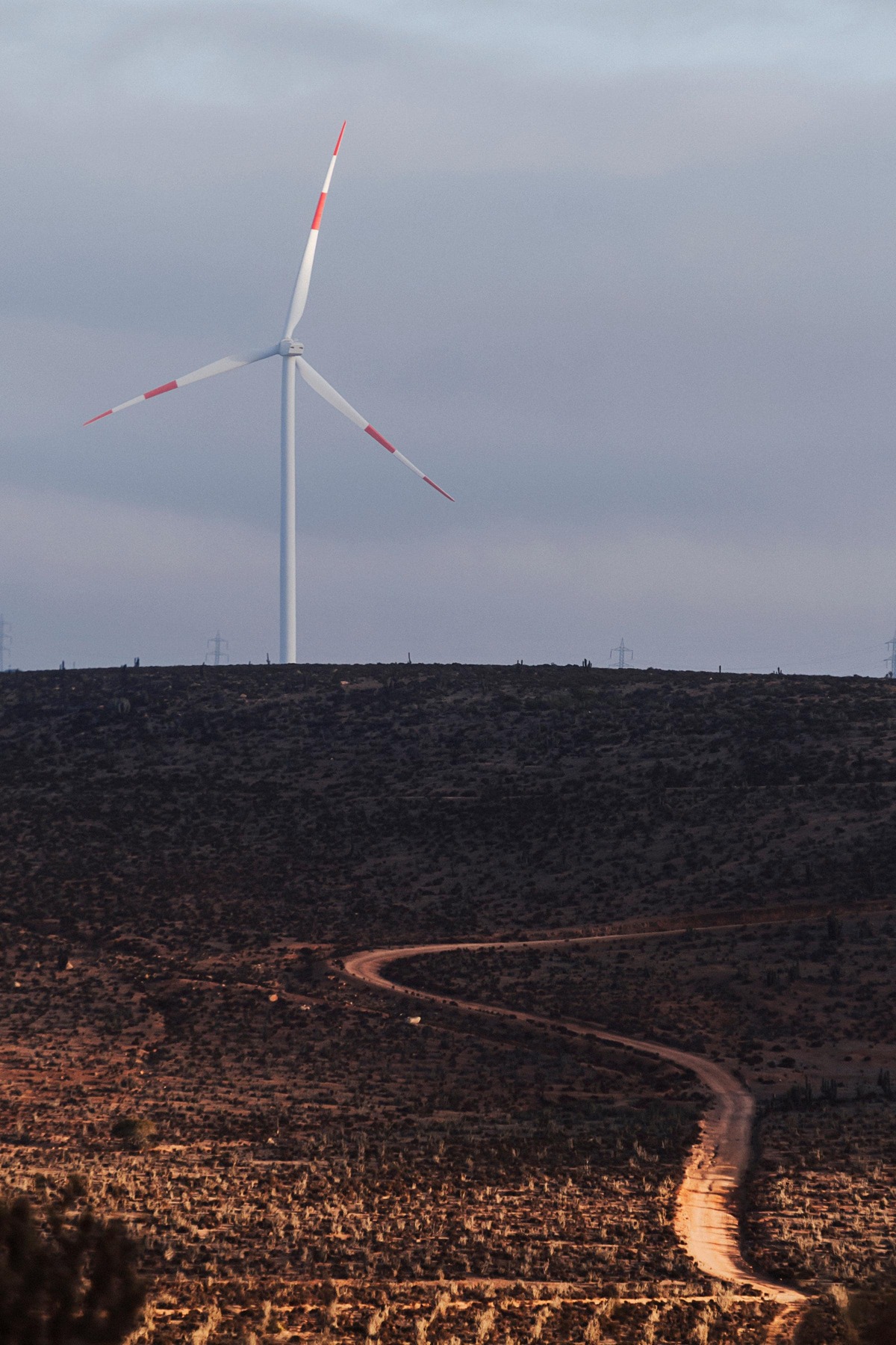 Imagen molino de viento